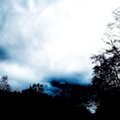 jackuw - garden of a timeless euphoria