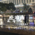 这些年的风雨