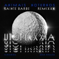 Animais Noturnos (Sainte Barbe Remix)