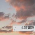 小羽毛 - 你非顽疾