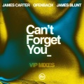 Can’t Forget You (feat. James Blunt) (Ofenbach VIP Remix)