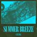 Summer Breeze