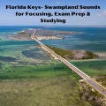 Florida Keys- Swampland Sounds for Focusing, Exam Prep & Studying