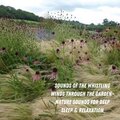 Sounds of the Whistling Winds Through the Garden- Nature Sounds for Deep Sleep & Relaxation