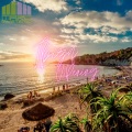 Crash Test Dummies、Max'C - What Is Love (feat. Max C & Dhany)