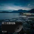 蒋万发 - 回声