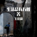 王佳莉 - 生活总有万般苦