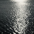 beyan - 海底から覗く