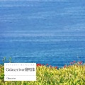 isabella - 厚德载物