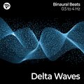 Delta Waves: Loss of Body Awareness