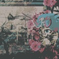 Chlorenn - BIOS
