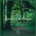 Sonidos de Lluvia en el Bosque