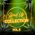 Spedup Collection, Vol. 5 (Explicit)