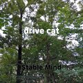 Stable Mind - wedding lofi