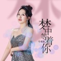 梦中等着你 (吉特巴女声版)(DJ何鹏版)