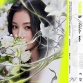 姚晓棠 - 她的树