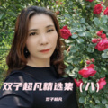 双子超凡 - 不及