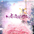 i祺祺. - 除了春天爱情和樱花