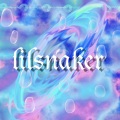 lilsnaker - 我的美丽 (lilsnaker remix)