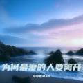 冷宇君MAX - 为何最爱的人要离开
