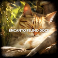 Encanto Felino Doce