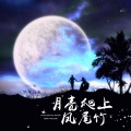 望海高歌、小琢 - 月亮爬上凤尾竹