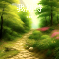 张青宥 - 我期待