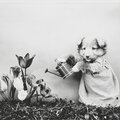 Scratch Kelly、Sarah Eden Cracknell - Something Better