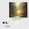 生子豪 - 暖光摇滚伴奏