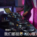 我们都挺好 (DJ版)