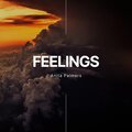 Anita Palmers - Feelings