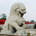 杨培彬 - 糖纸飞了