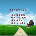 傲雪藏梅 - 感谢生命中有了你