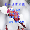 傲雪藏梅 - 和一场雪相遇-傲雪藏梅