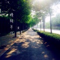 莫小铮 - 未走远