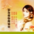 刘金兰 - 情为何物问苍天 刘金兰