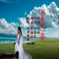 傲雪藏梅 - 我是草原一缕风