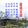 傲雪藏梅 - 福满家园-傲雪藏梅