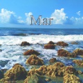 MAR