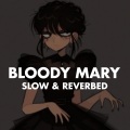 Akash Khaira - Bloody Mary (Slow & Reverbed)