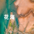 王一只 - 花海