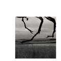 Black Stag (Explicit)