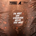 Du hast den schönsten Arsch der Welt (你拥有世界上最曼妙的身躯)(Explicit)