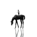 High Horse
