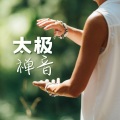 哈多气功 - 太极禅音