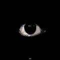 Cire - All Eyes On Me (Explicit)