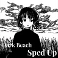 dark beach (sped up)