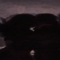 Argento、Creek Indigo - Rosetta (feat. creek indigo)(Explicit)