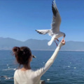 快乐 - 情随风爱成空
