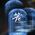 倾欢 - 笼